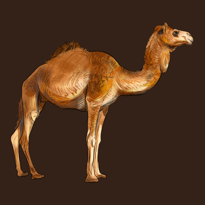 Camel Heavy Core Tee by BarkalooDesign | Teevron