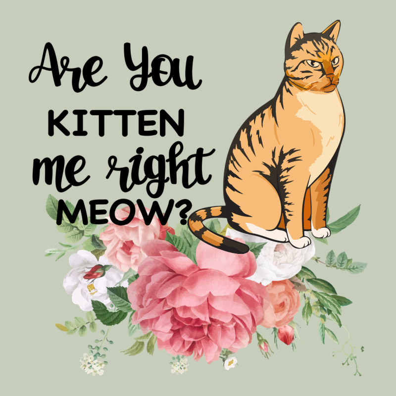Are You Kitten Me Right Meow Ladies Tee by Bettercallsaul | Teevron