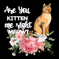 Cat Maine Coon Gift Kidding Kitten Meow Pussycat Ladies Tee | Teevron