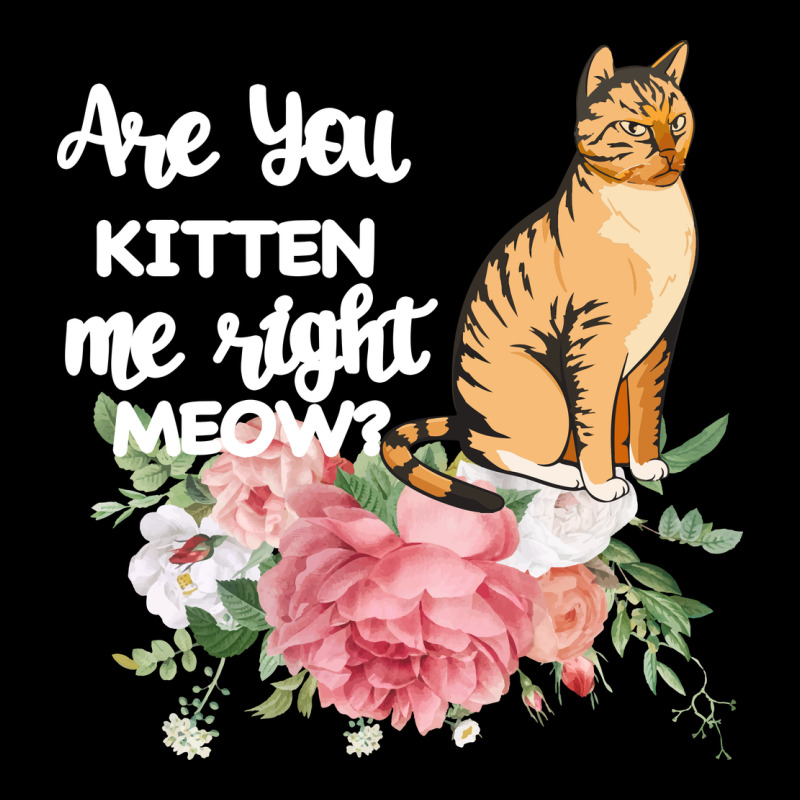 Cat Maine Coon Gift Kidding Kitten Meow Pussycat Ladies Tee by Bettercallsaul | Teevron