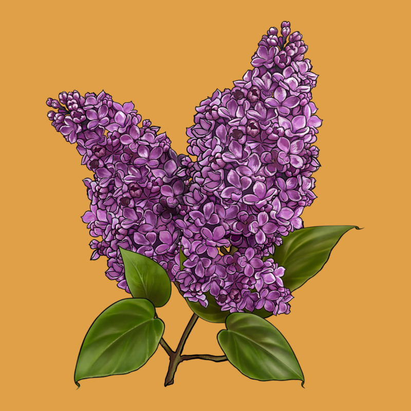 Purple Lilac Flower Premium Hoodie by LillyAllenDesigns | Teevron