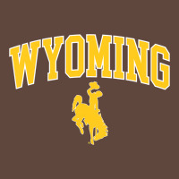 Kids Wyoming Cowboys Apparel Fan Favorite Brown Arch Classic Tee | Teevron