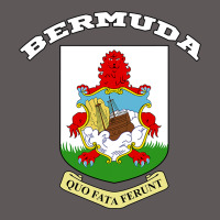 Bermuda Coat Of Arms Souvenir Gift Flag Bermudian Premium Hoodie | Teevron