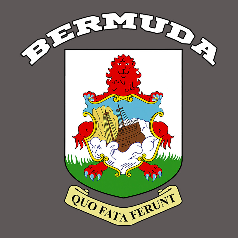 Bermuda Coat Of Arms Souvenir Gift Flag Bermudian Premium Hoodie by trangStudio | Teevron