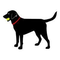 Labrador Retriever Fetch, Black Lab Play Ball Premium Hoodie | Teevron