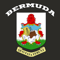Bermuda Coat Of Arms Souvenir Gift Flag Bermudian Heavy Core Tee | Teevron