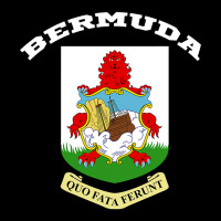 Bermuda Coat Of Arms Souvenir Gift Flag Bermudian Premium Tee | Teevron