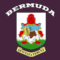 Bermuda Coat Of Arms Souvenir Gift Flag Bermudian Long Sleeve Tee | Teevron