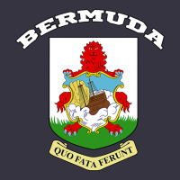 Bermuda Coat Of Arms Souvenir Gift Flag Bermudian Vintage Hoodie | Teevron
