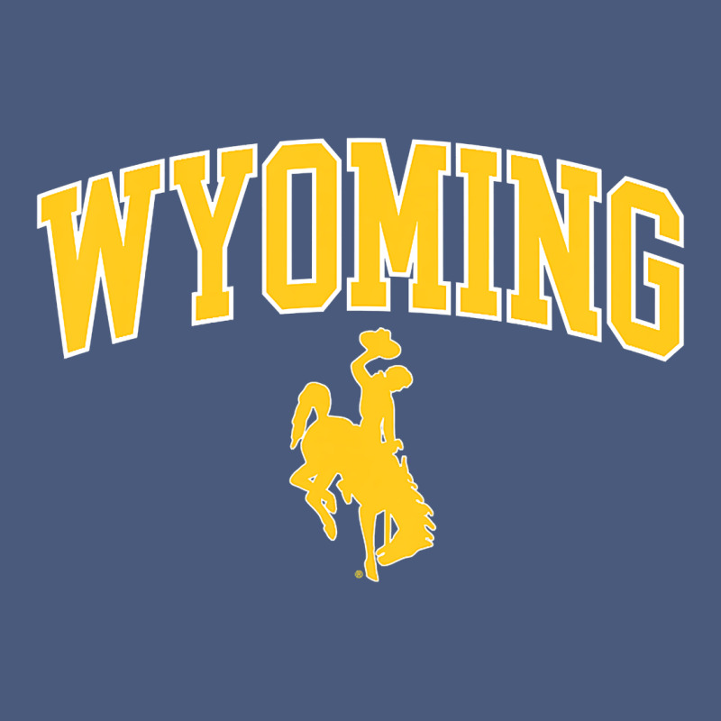 Kids Wyoming Cowboys Apparel Fan Favorite Brown Arch Vintage Hoodie by trangStudio | Teevron