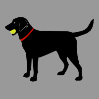 Labrador Retriever Fetch, Black Lab Play Ball Vintage Hoodie | Teevron