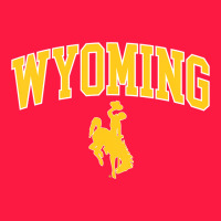 Kids Wyoming Cowboys Apparel Fan Favorite Brown Arch Zipper Hoodie | Teevron