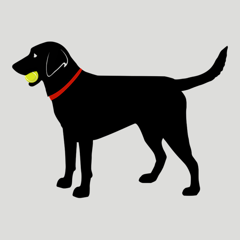 Labrador Retriever Fetch, Black Lab Play Ball Zipper Hoodie by trangStudio | Teevron