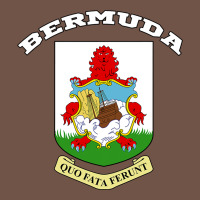 Bermuda Coat Of Arms Souvenir Gift Flag Bermudian Premium Sweatshirt | Teevron