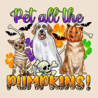 Pet All The Pumpkins Urban Heavy Tee | Teevron