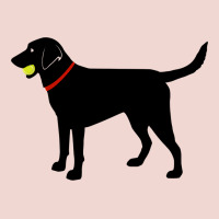 Labrador Retriever Fetch, Black Lab Play Ball Premium Sweatshirt | Teevron