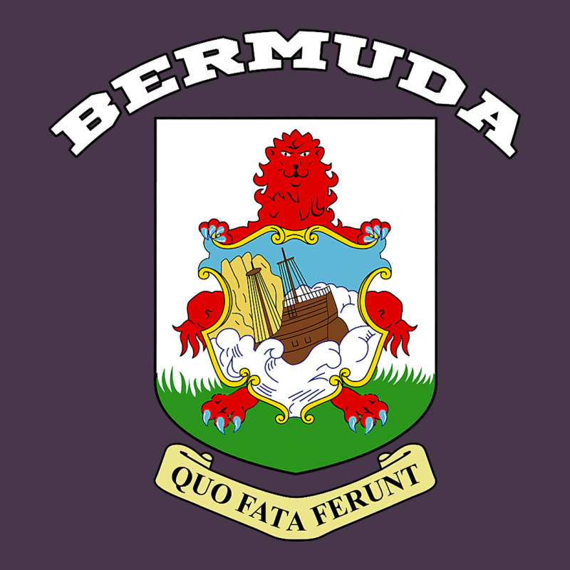 Bermuda Coat Of Arms Souvenir Gift Flag Bermudian Heavyweight Hoodie by trangStudio | Teevron