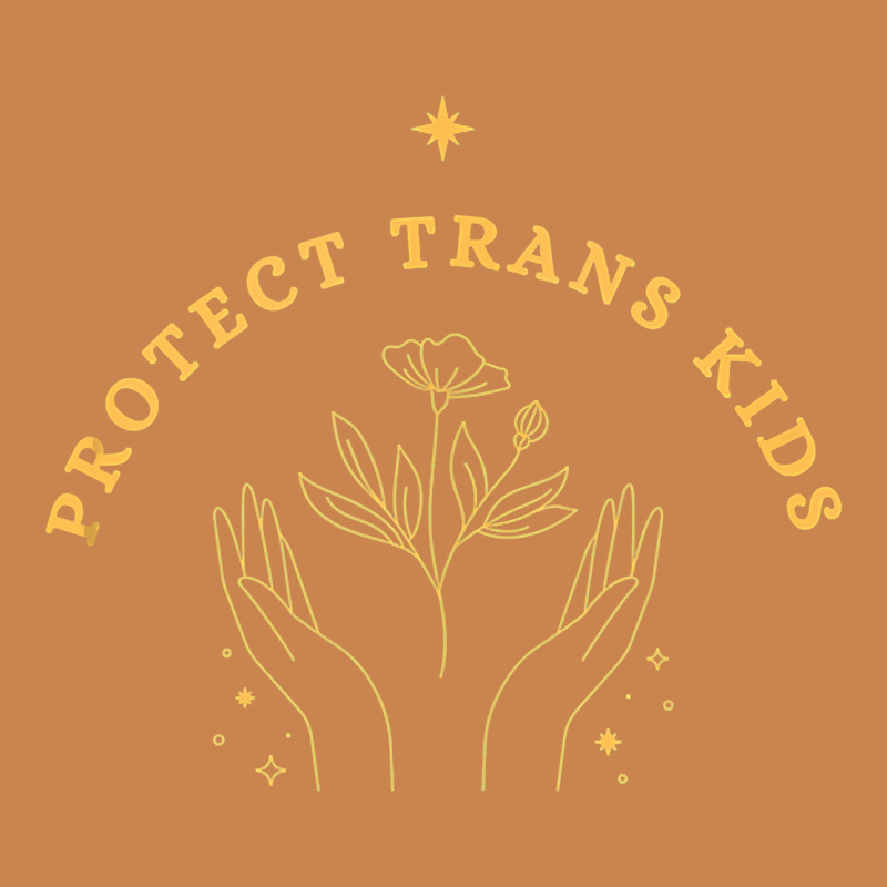 Protect Trans Kids Heavyweight Hoodie by trangStudio | Teevron