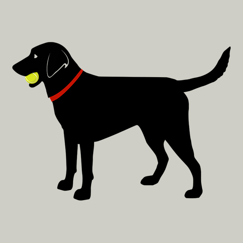Labrador Retriever Fetch, Black Lab Play Ball Heavyweight Hoodie by trangStudio | Teevron