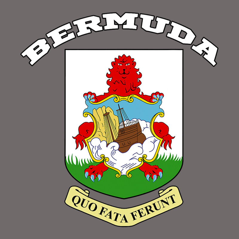 Bermuda Coat Of Arms Souvenir Gift Flag Bermudian Urban Hoodie by trangStudio | Teevron