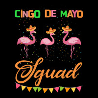 Cinco De Mayo Squad Ladies Tee | Teevron