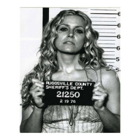 Sheri moon zombie baby firefly the devils rejects art print mugshot de | Teevron