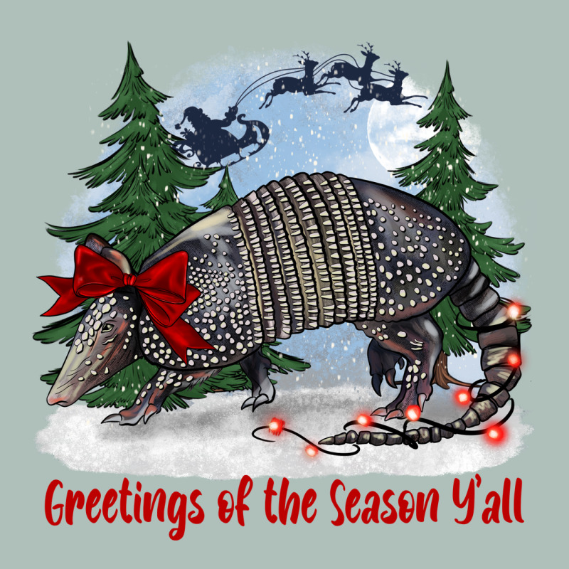 Greetings Of The Season Y'all With Armadillo Heavyweight Hoodie by BarkalooDesign | Teevron