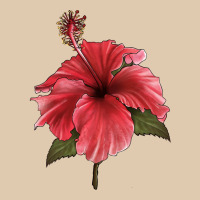 Puerto Rican Hibiscus Flower Illustrations Heavyweight Sweatshirt | Teevron