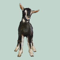 Hand Drawn Baby Alpine Goat Zipper Hoodie | Teevron