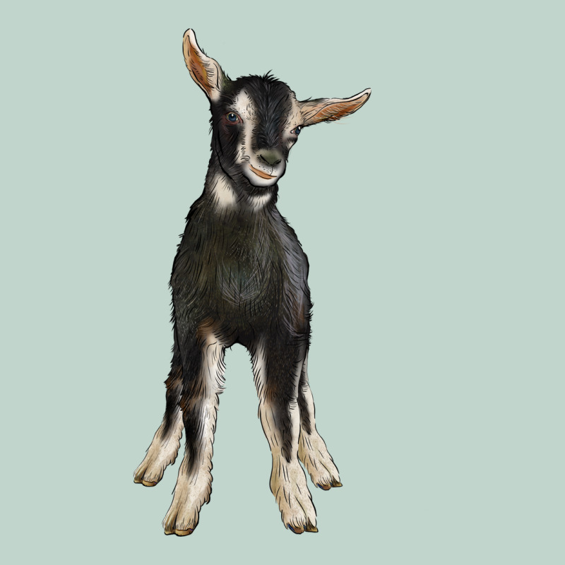 Hand Drawn Baby Alpine Goat Zipper Hoodie by LillyAllenDesigns | Teevron