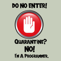 I'm Not In Quarantine I'm A Programmer Ladies Tee | Teevron