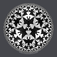 M.c. Escher Circle Limit Iv Classic Tee | Teevron