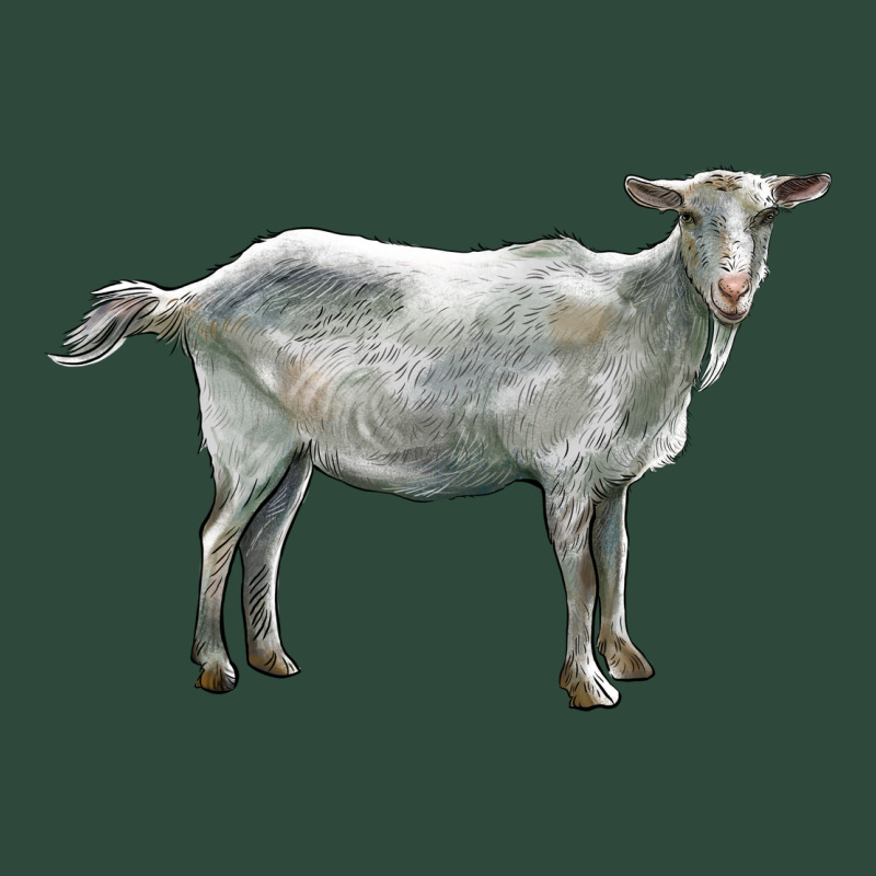 Saanen Goat Zipper Hoodie by LillyAllenDesigns | Teevron