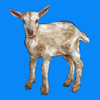 Baby Saanen Goat Zipper Hoodie | Teevron