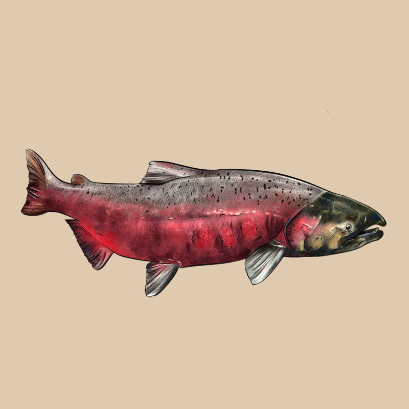 Chinook Salmon Fish Illustrations Heavyweight Sweatshirt by LillyAllenDesigns | Teevron