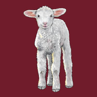 Merino Wool Baby Sheep Zipper Hoodie | Teevron