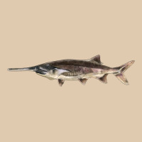 Paddlefish Illustrations, Heavyweight Sweatshirt | Teevron