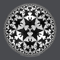 M.c. Escher Circle Limit Iv Zipper Hoodie | Teevron