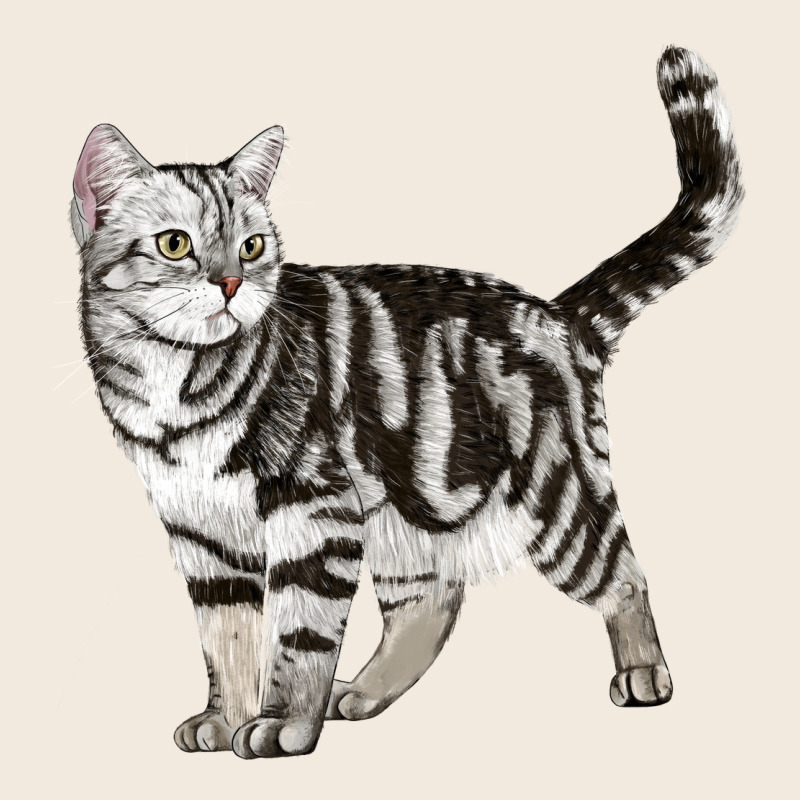 American Shorthair Cat Zipper Hoodie by LillyAllenDesigns | Teevron