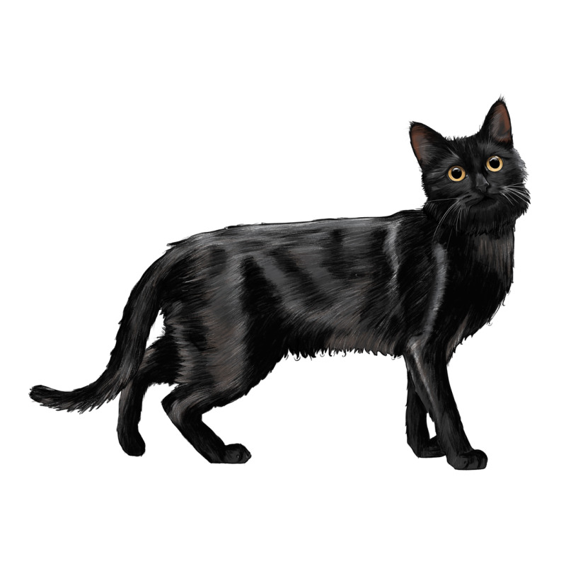 Bombay Cat Zipper Hoodie by LillyAllenDesigns | Teevron