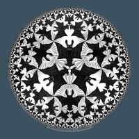 M.c. Escher Circle Limit Iv Urban Hoodie | Teevron