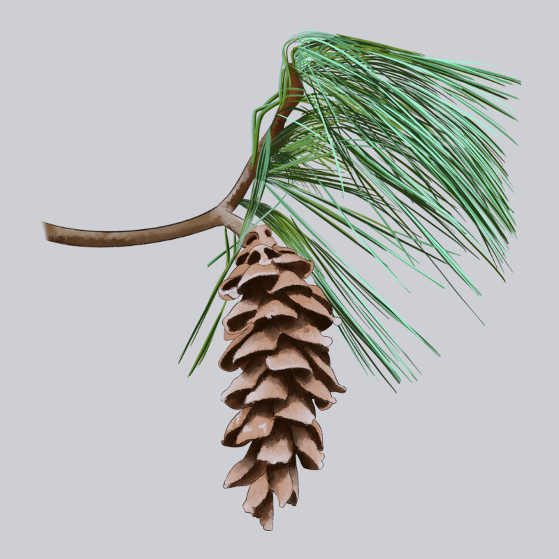 White Pine Cone Heavyweight Sweatshirt by LillyAllenDesigns | Teevron