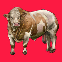Simmental Bull Zipper Hoodie | Teevron