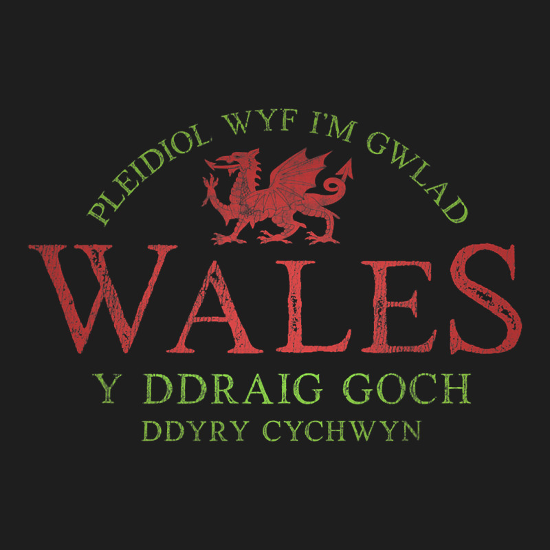 Rugby Welsh Gift Red Dragon Flag Of Wales Classic Tee by trangStudio | Teevron