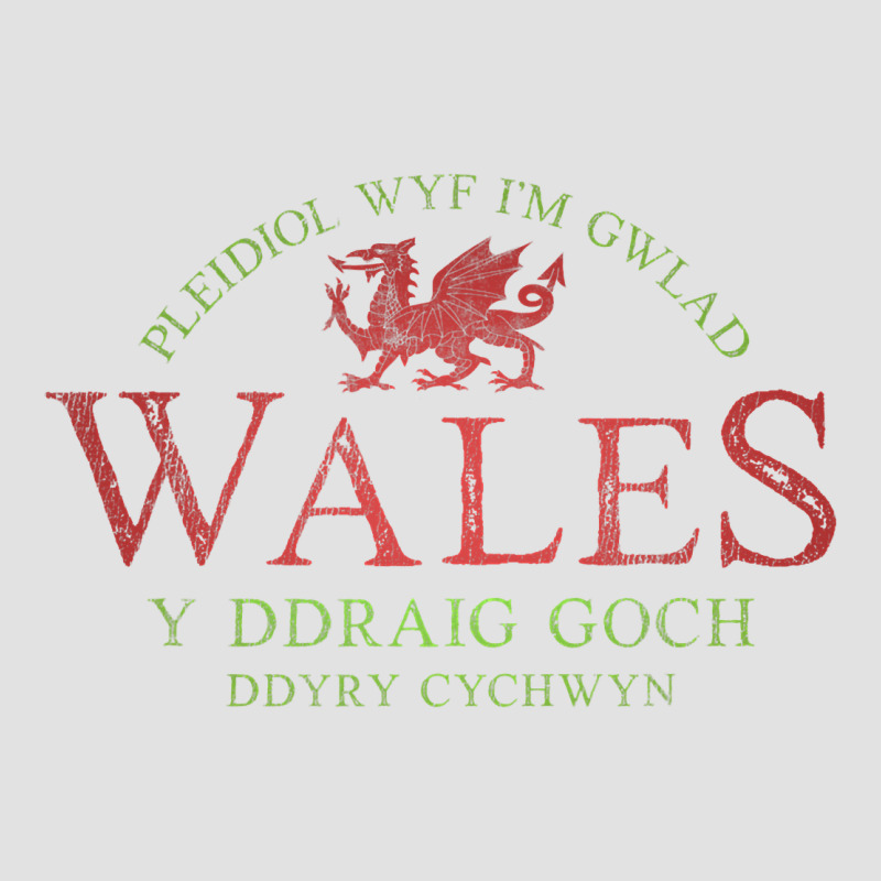 Rugby Welsh Gift Red Dragon Flag Of Wales Premium Hoodie by trangStudio | Teevron