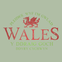 Rugby Welsh Gift Red Dragon Flag Of Wales Urban Heavy Tee | Teevron