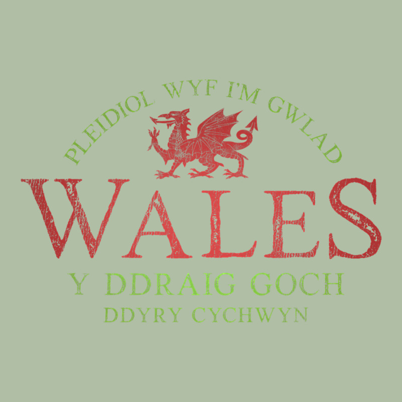 Rugby Welsh Gift Red Dragon Flag Of Wales Urban Heavy Tee by trangStudio | Teevron