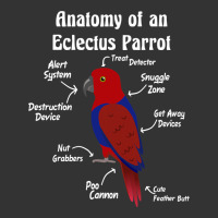 Anatomy of a female Eclectus Parrot | Teevron