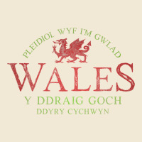 Rugby Welsh Gift Red Dragon Flag Of Wales Premium Tee | Teevron