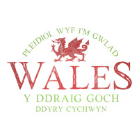 Rugby Welsh Gift Red Dragon Flag of Wales | Teevron